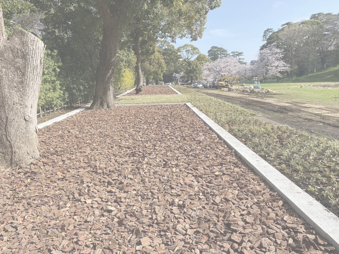 小田原城跡御用米_湘南ロックガーデン