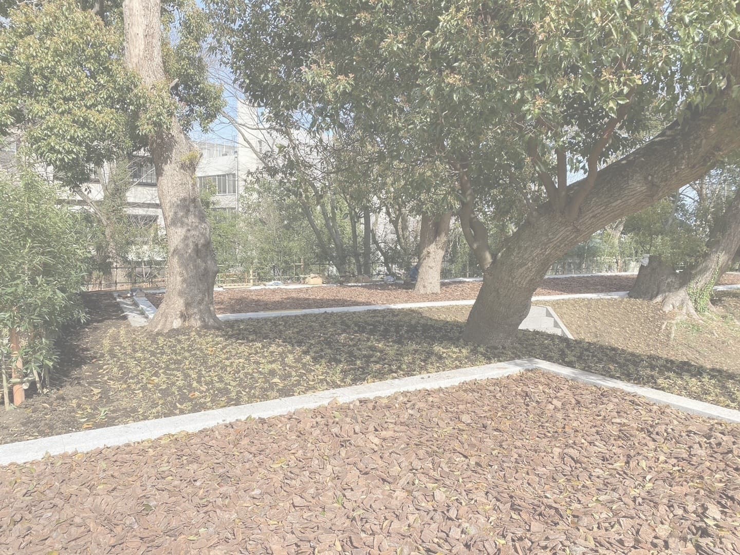 小田原城跡御用米_湘南ロックガーデン