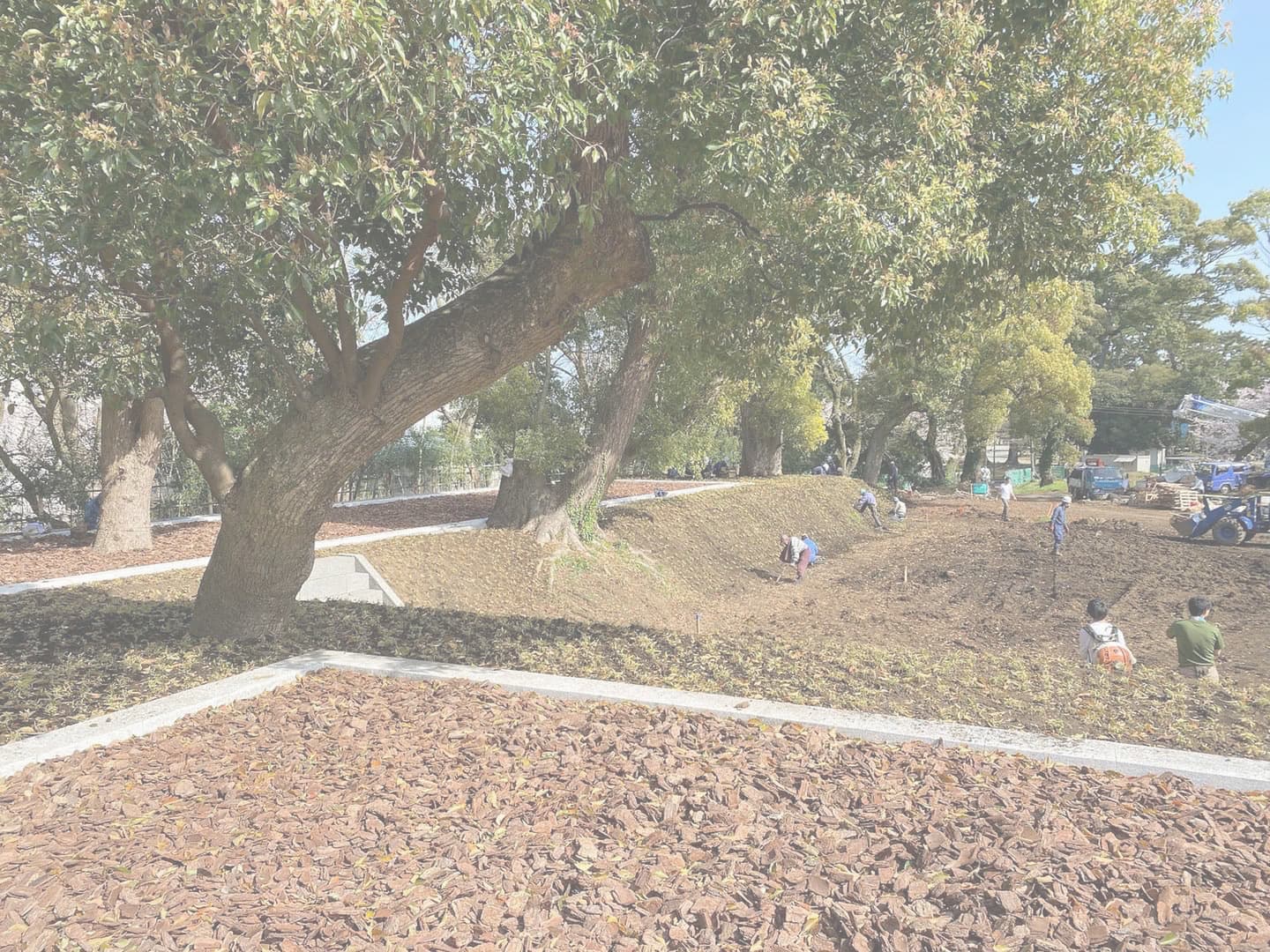 小田原城跡御用米_湘南ロックガーデン