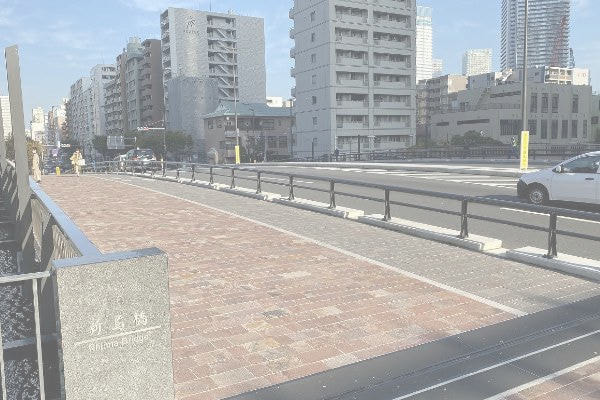 アルゼンチン斑岩_新島橋_湘南ロックガーデン