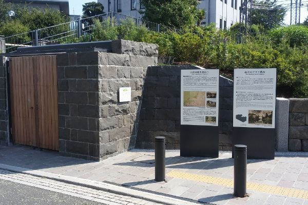 アルゼンチン斑岩_BLUFF99GARDEN_湘南ロックガーデン