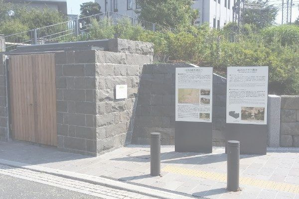 アルゼンチン斑岩_BLUFF99GARDEN_湘南ロックガーデン