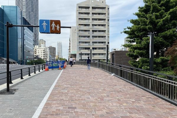 アルゼンチン斑岩_新島橋_湘南ロックガーデン