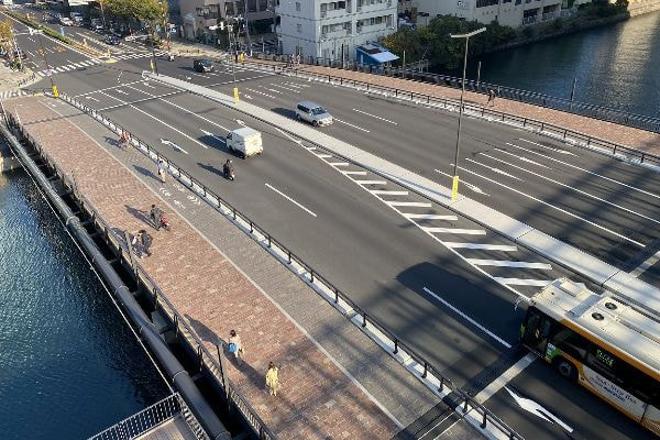 アルゼンチン斑岩_新島橋_湘南ロックガーデン