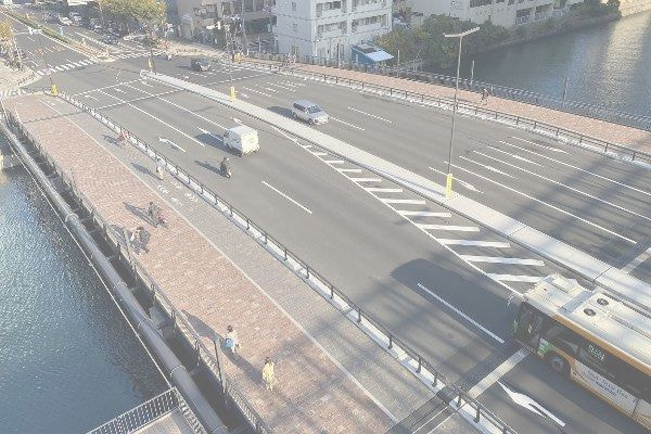 アルゼンチン斑岩_新島橋_湘南ロックガーデン