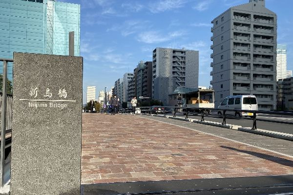 アルゼンチン斑岩_新島橋_湘南ロックガーデン