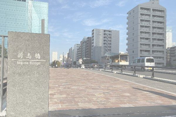 アルゼンチン斑岩_新島橋_湘南ロックガーデン