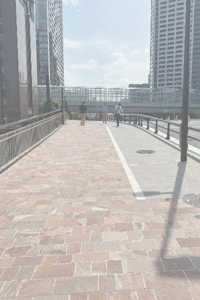 アルゼンチン斑岩_新島橋_湘南ロックガーデン