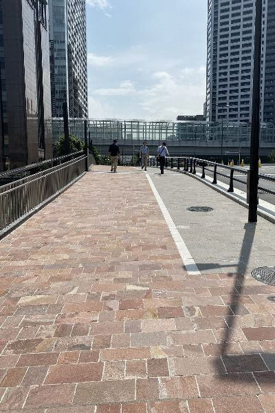 アルゼンチン斑岩_新島橋_湘南ロックガーデン