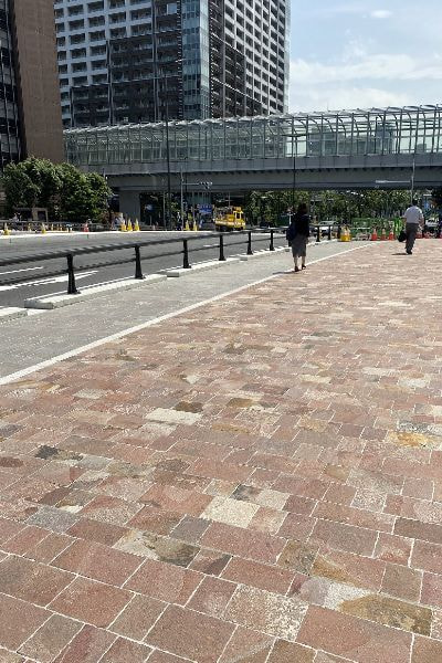 アルゼンチン斑岩_新島橋_湘南ロックガーデン