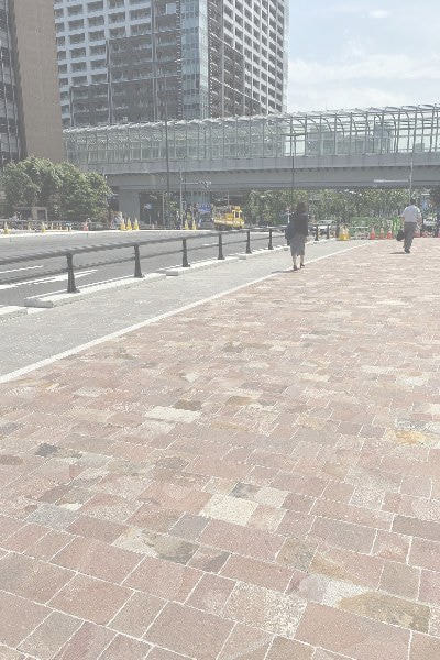 アルゼンチン斑岩_新島橋_湘南ロックガーデン