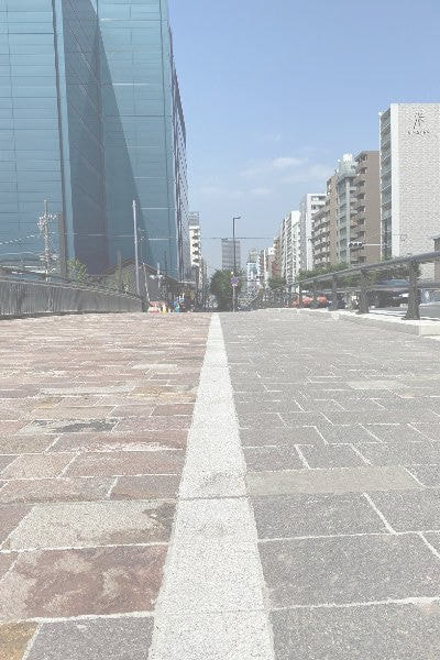 アルゼンチン斑岩_新島橋湘南ロックガーデン