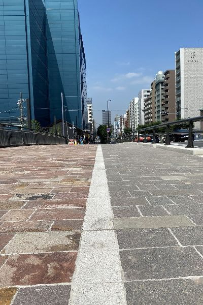 アルゼンチン斑岩_新島橋湘南ロックガーデン