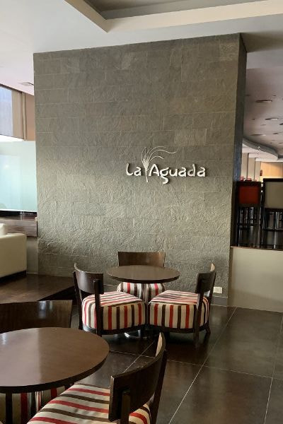 アルゼンチン斑岩_壁_湘南ロックガーデン