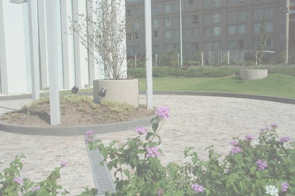 アルゼンチン斑岩_床_湘南ロックガーデン