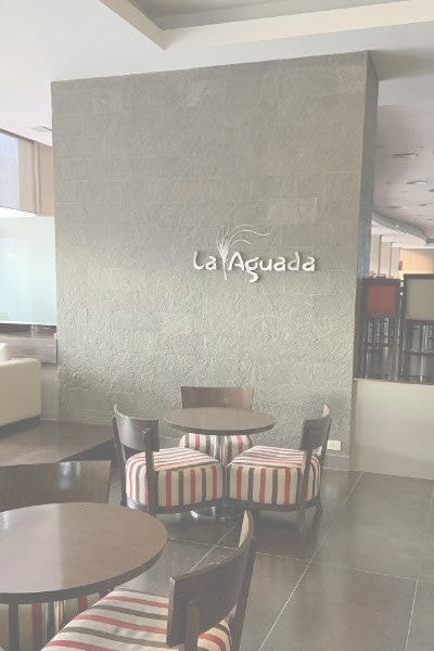 アルゼンチン斑岩_壁_湘南ロックガーデン