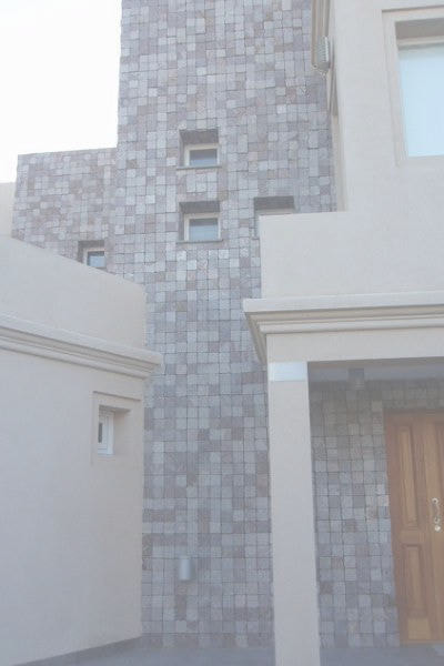 アルゼンチン斑岩_壁_湘南ロックガーデン