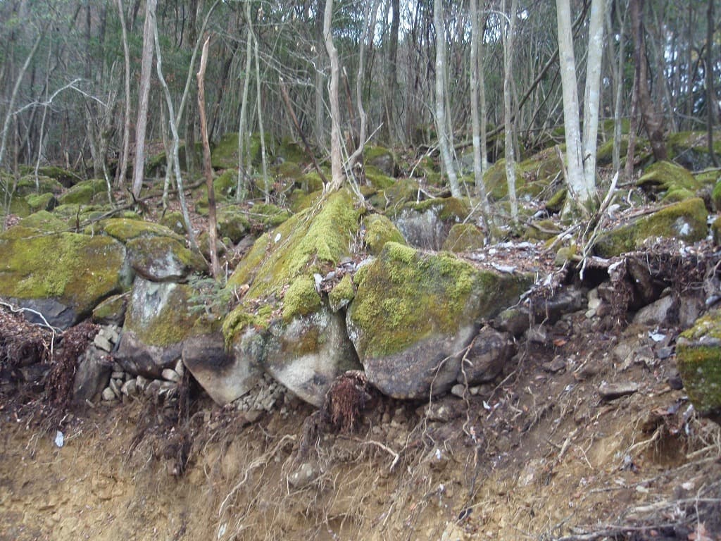 美濃石_湘南ロックガーデン