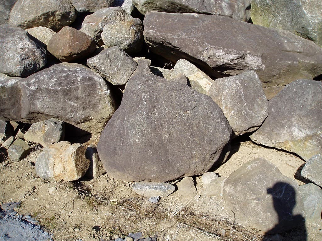 筑波石_湘南ロックガーデン