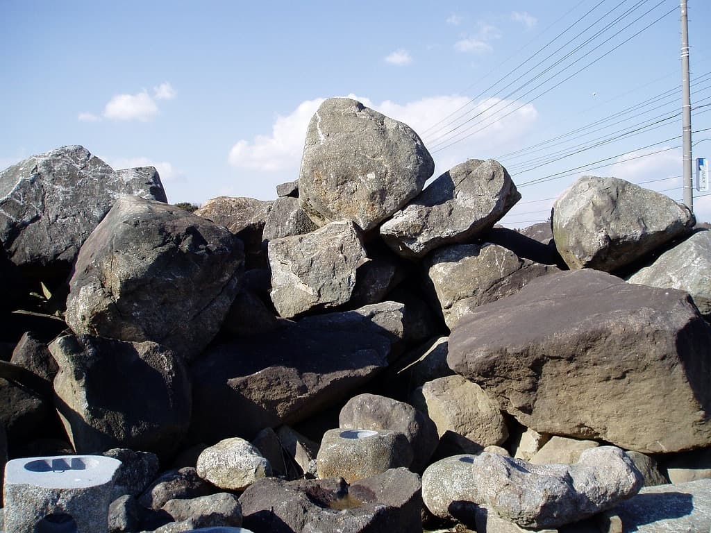 筑波石_湘南ロックガーデン