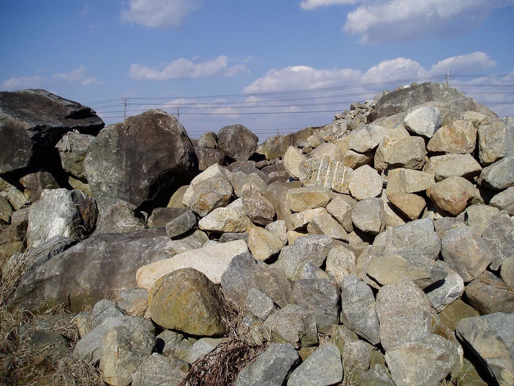 筑波石_湘南ロックガーデン