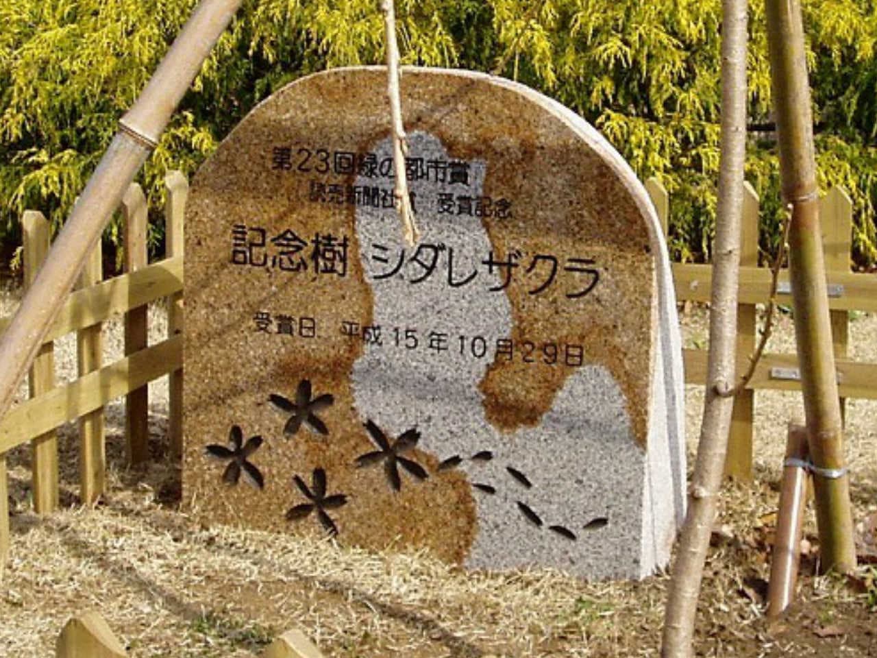 園名石_湘南ロックガーデン