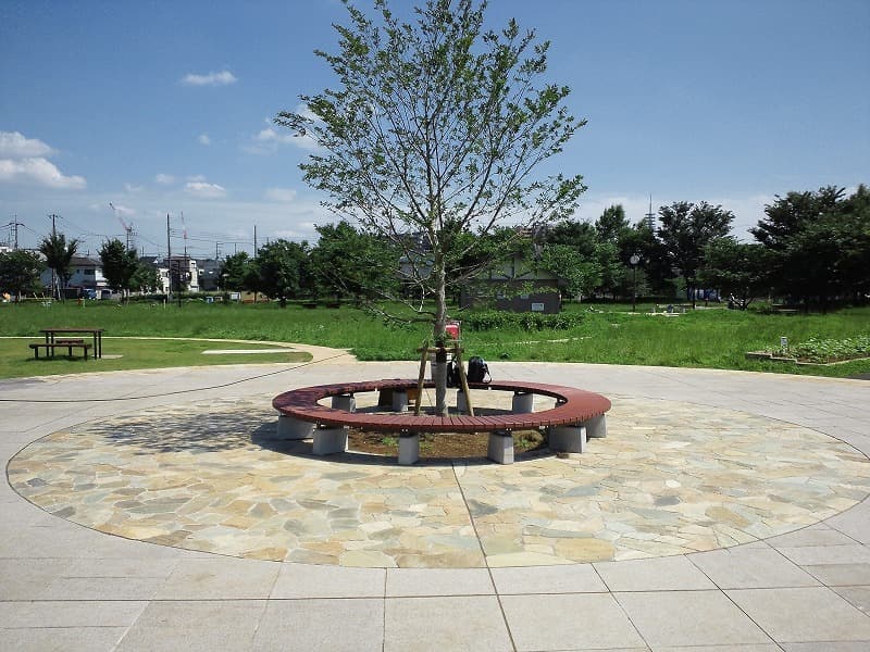 クオーツサイト_アースロック