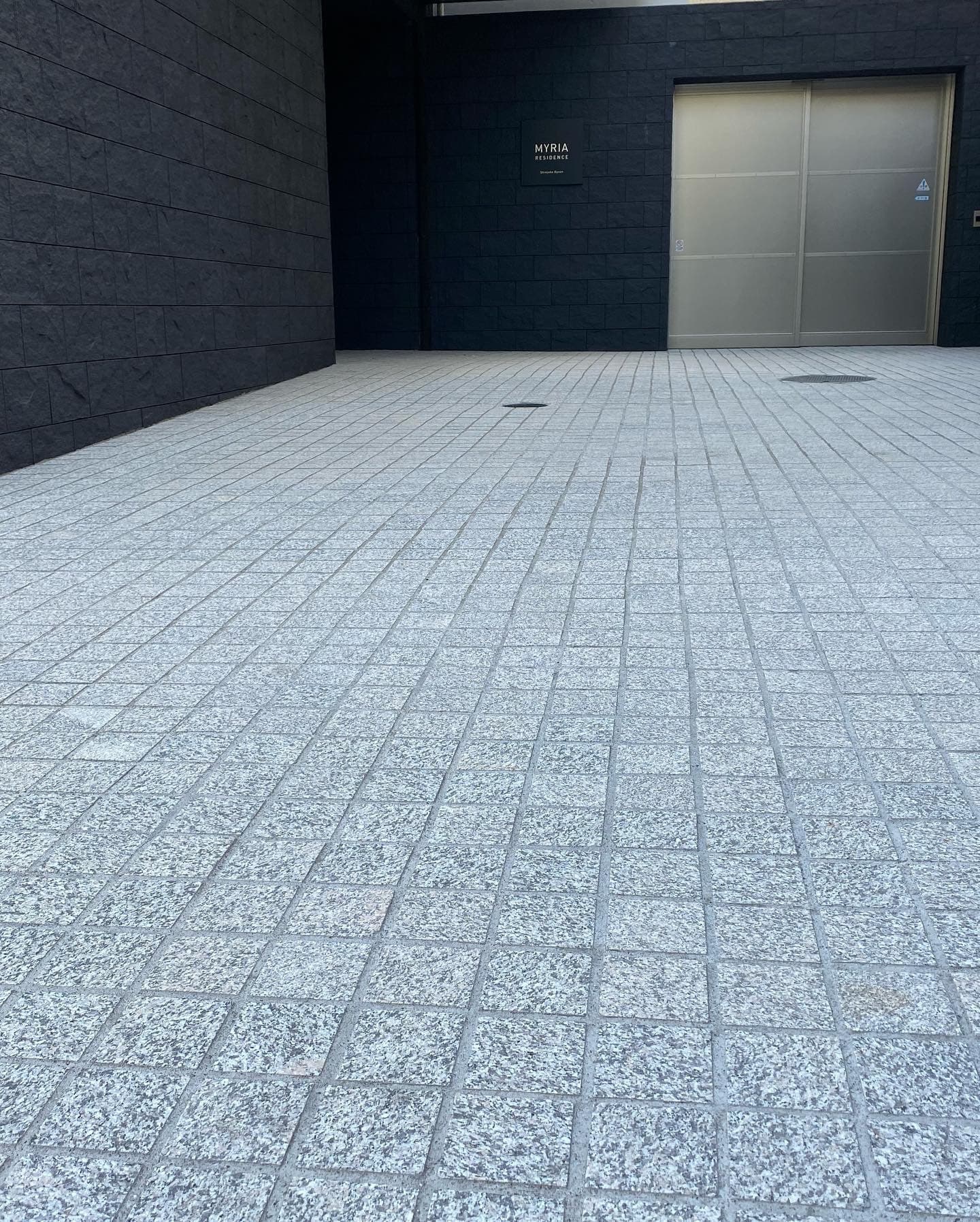 石種：スノークイーン_湘南ロックガーデン