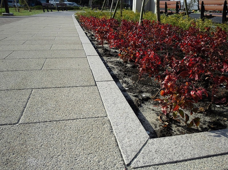 ブルーノ_湘南ロックガーデン