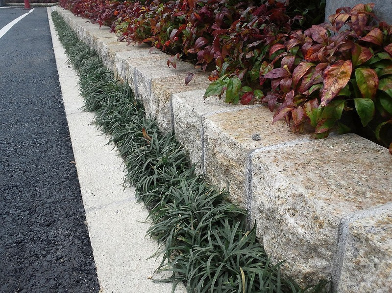 ラストビア_湘南ロックガーデン