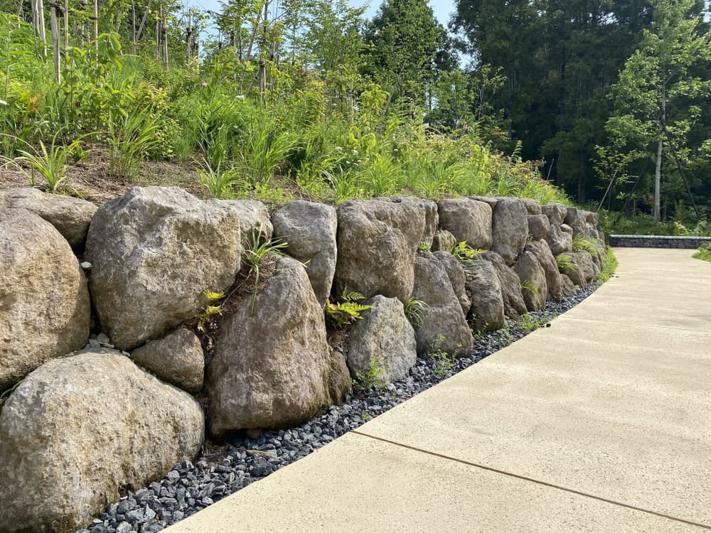 新小松石（斜め側面）_湘南ロックガーデン