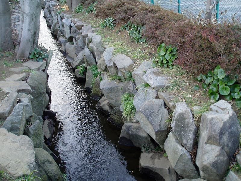 相木石_湘南ロックガーデン