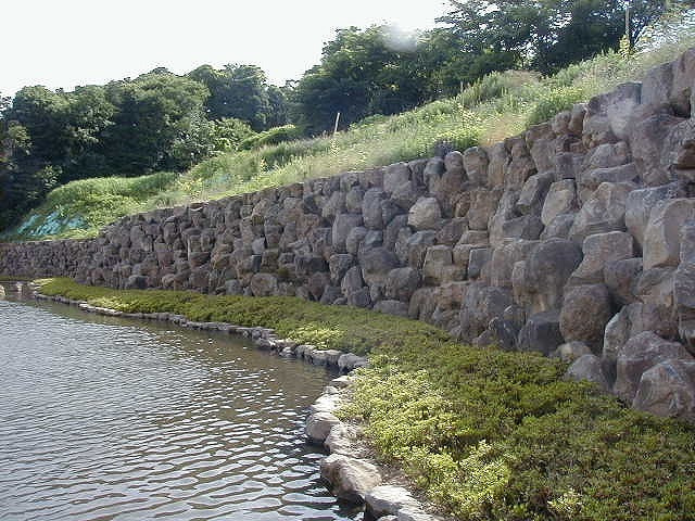 鳥海石_湘南ロックガーデン