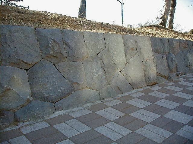 小松石（斜め側面）_湘南ロックガーデン