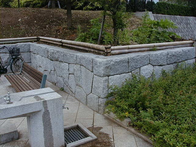 スノークイーン_湘南ロックガーデン