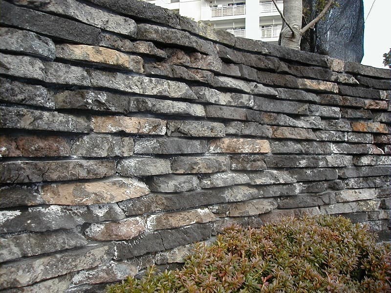 火山岩_湘南ロックガーデン