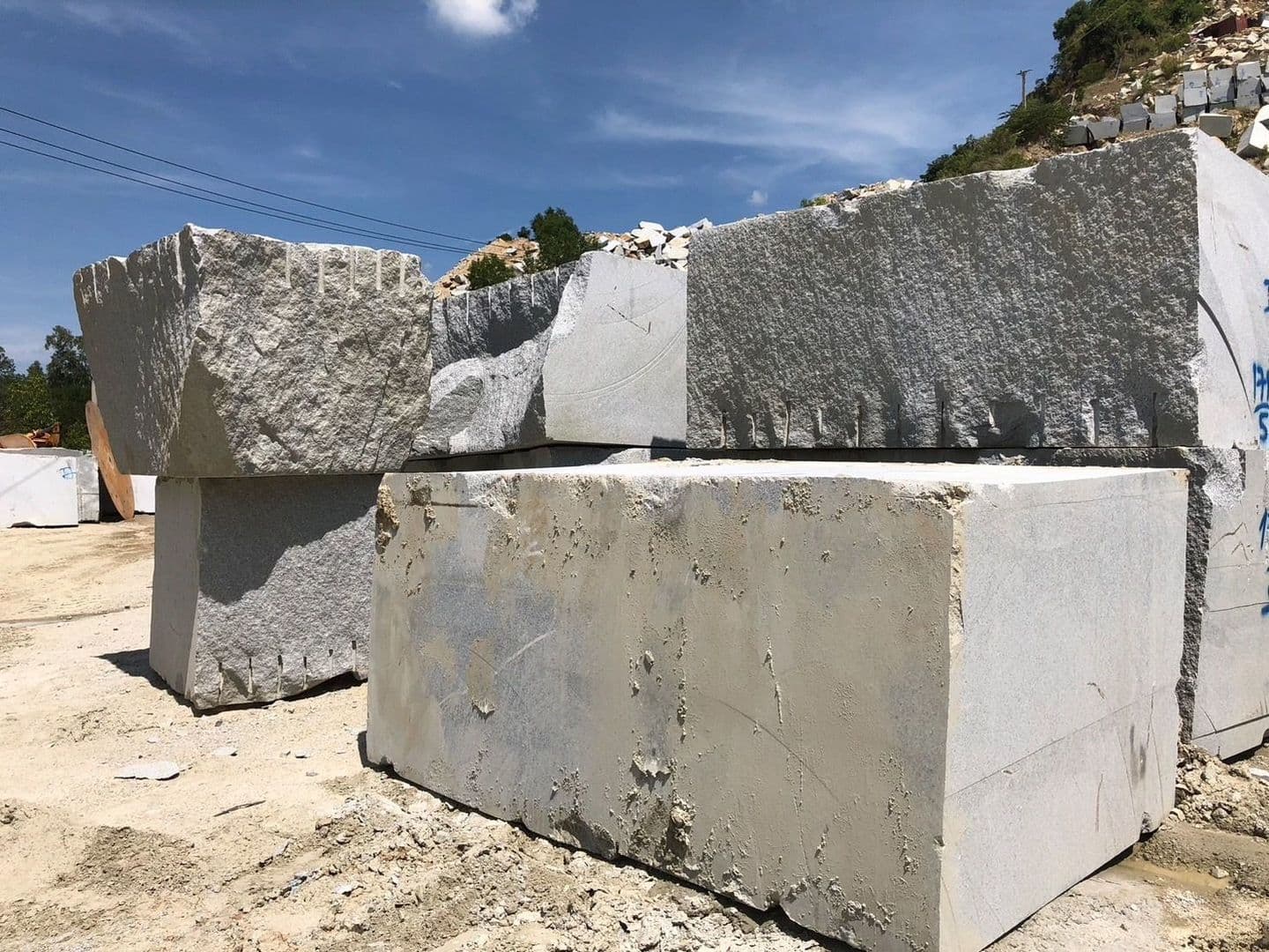 ベトナム白_湘南ロックガーデン