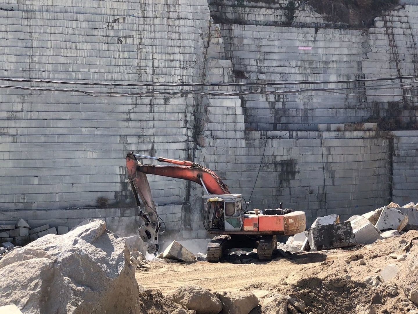 ベトナム白_湘南ロックガーデン