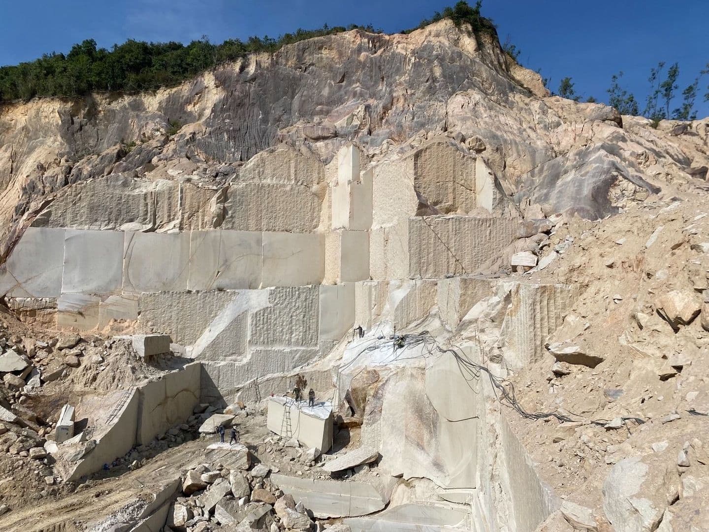 ベトナム錆_湘南ロックガーデン