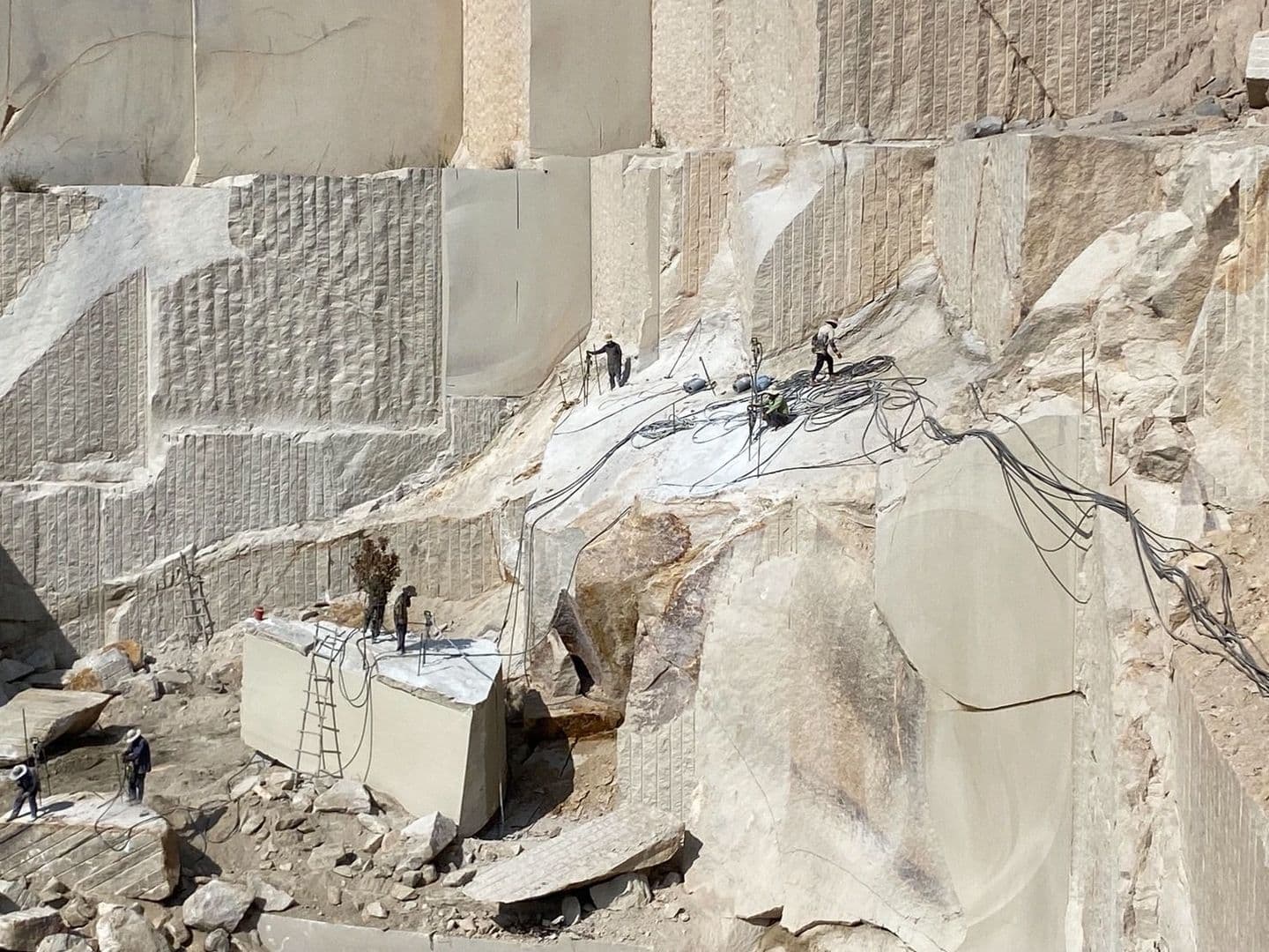 ベトナム錆_湘南ロックガーデン