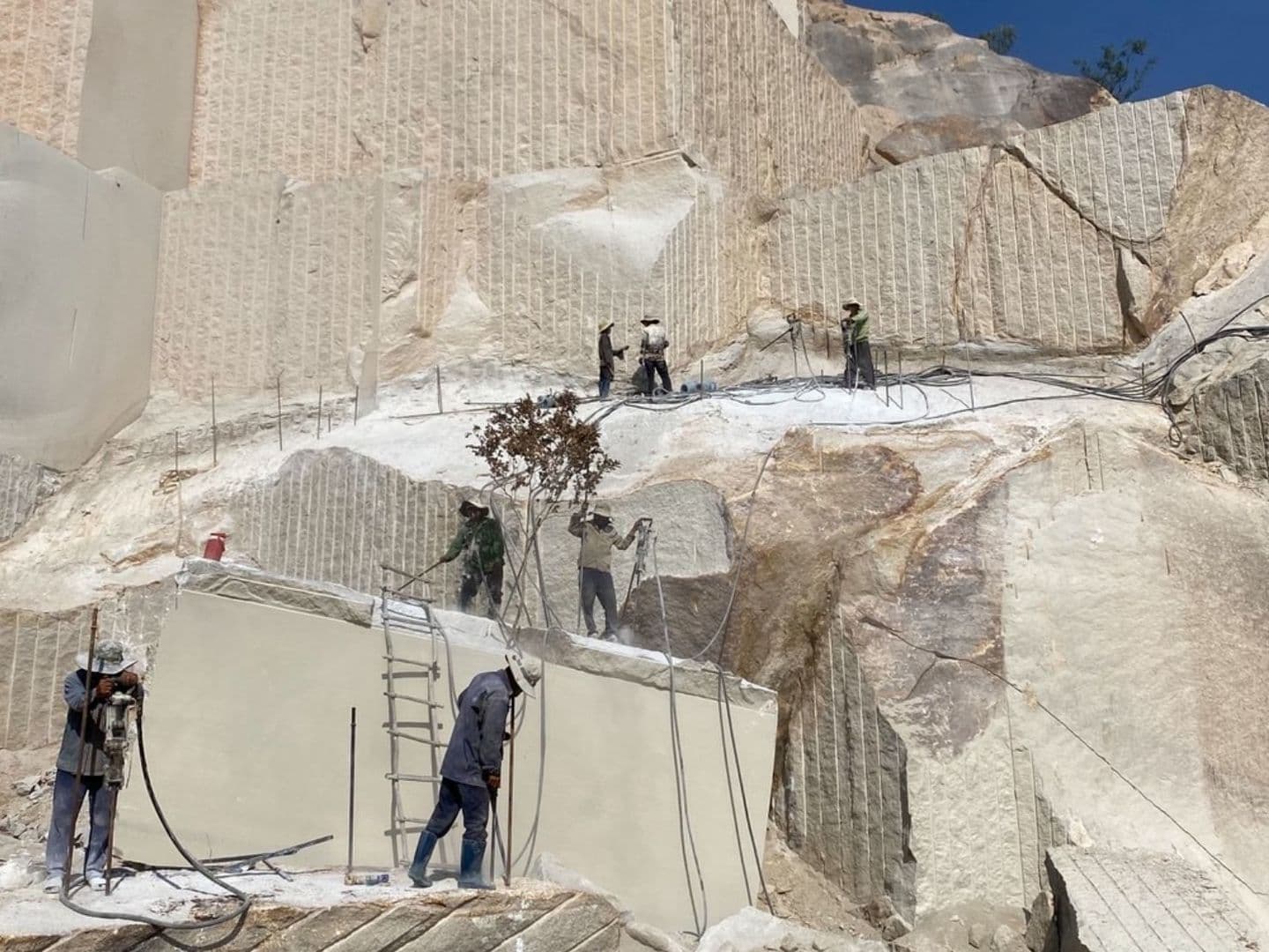 ベトナム錆_湘南ロックガーデン