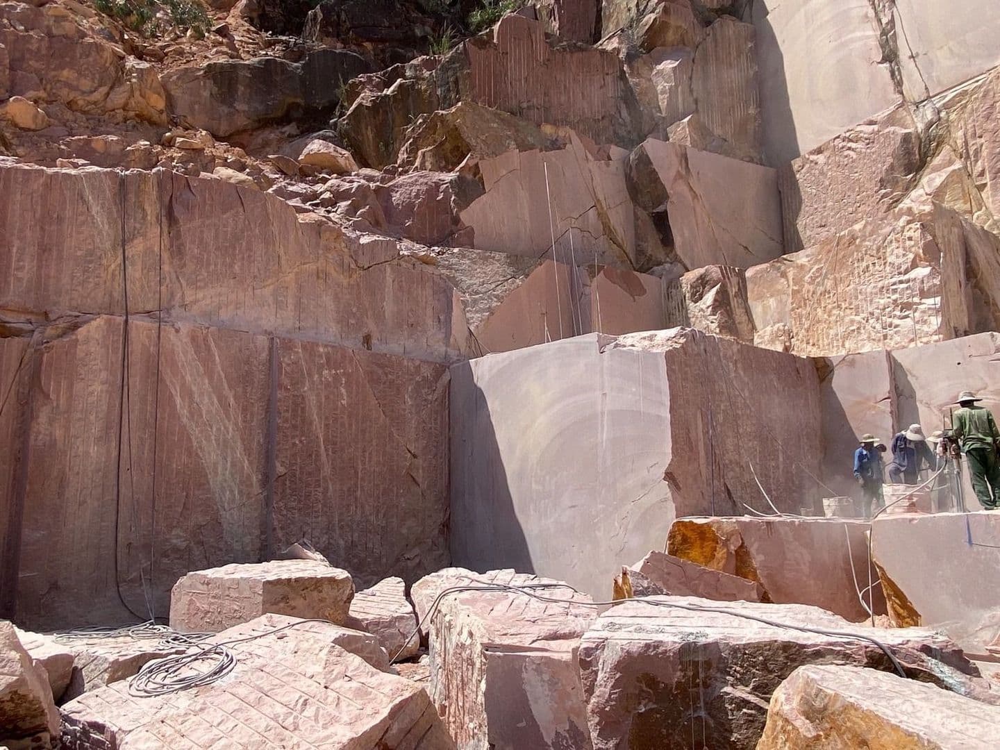 ベトナム赤_湘南ロックガーデン