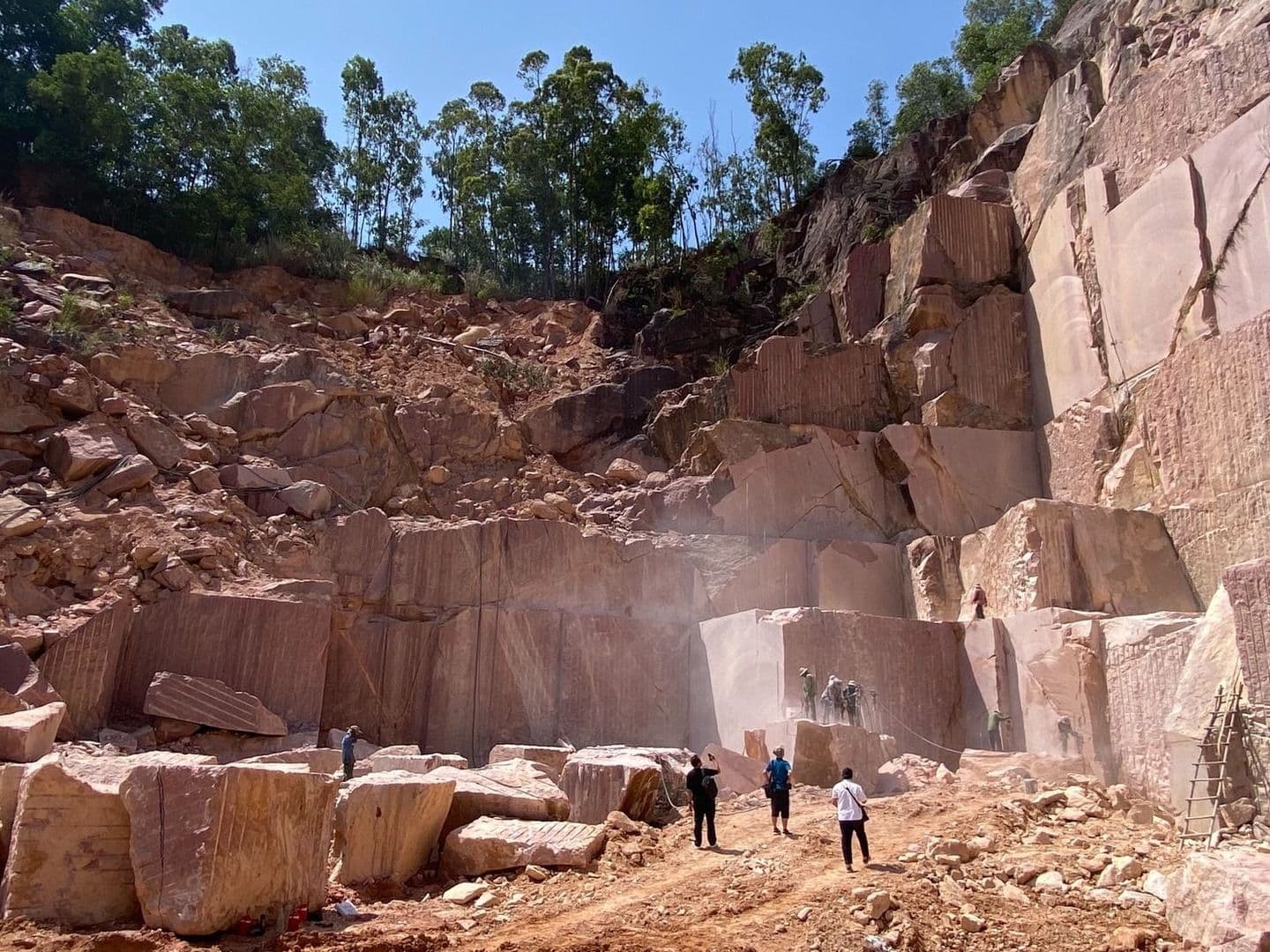 ベトナム赤_湘南ロックガーデン