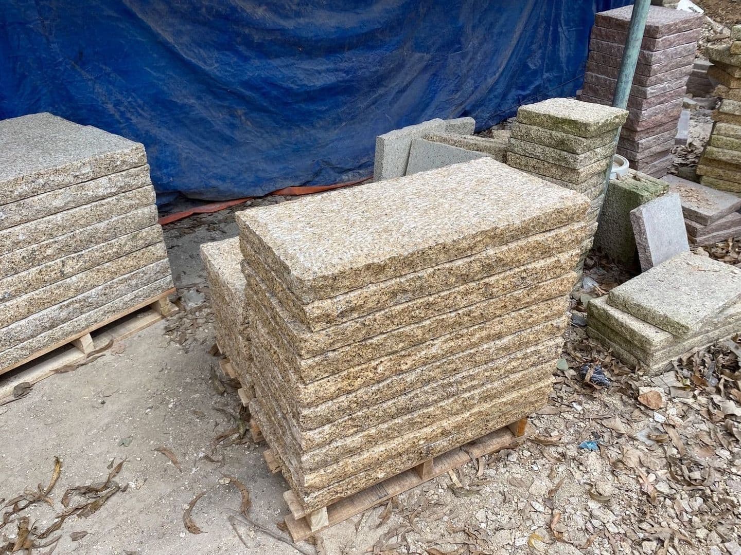 ベトナム錆_湘南ロックガーデン