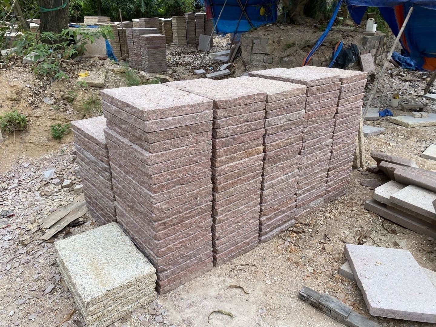 ベトナム錆_湘南ロックガーデン