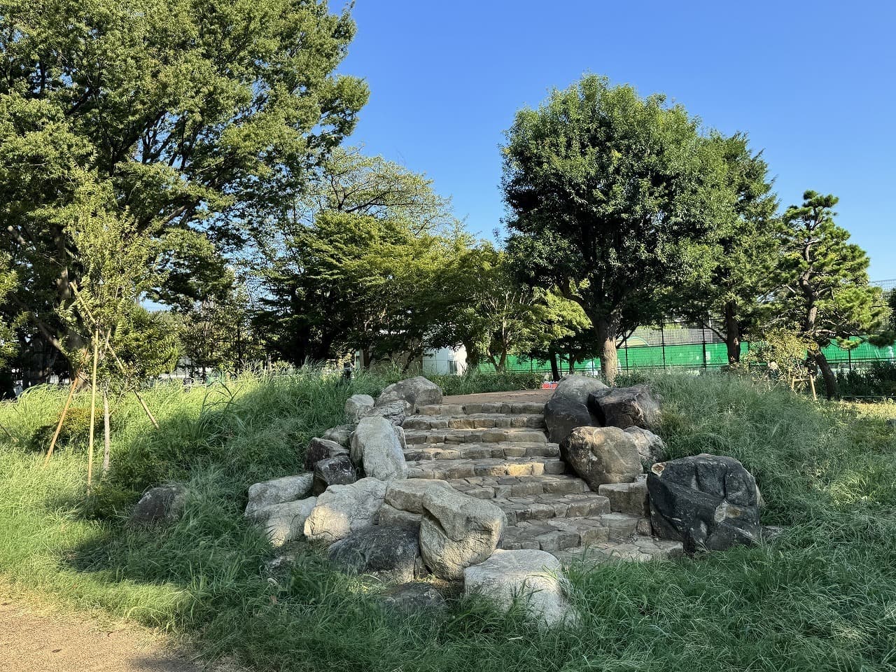 大蔵運動公園_湘南ロックガーデン