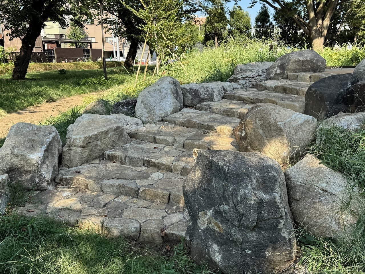 大蔵運動公園_湘南ロックガーデン