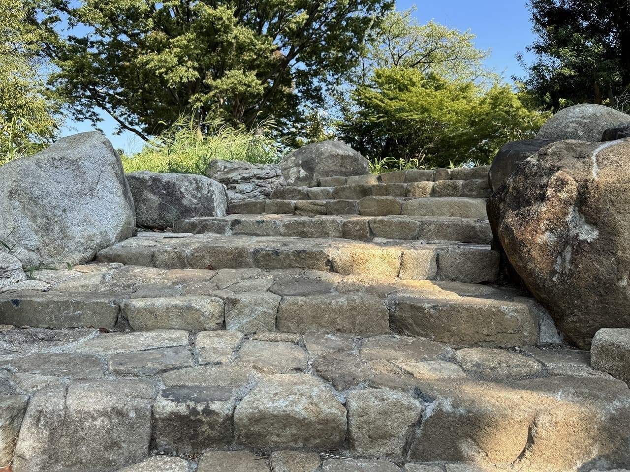 大蔵運動公園_湘南ロックガーデン
