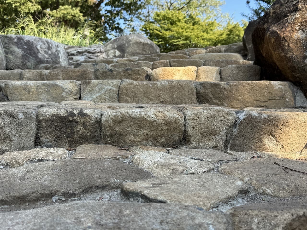 大蔵運動公園_湘南ロックガーデン