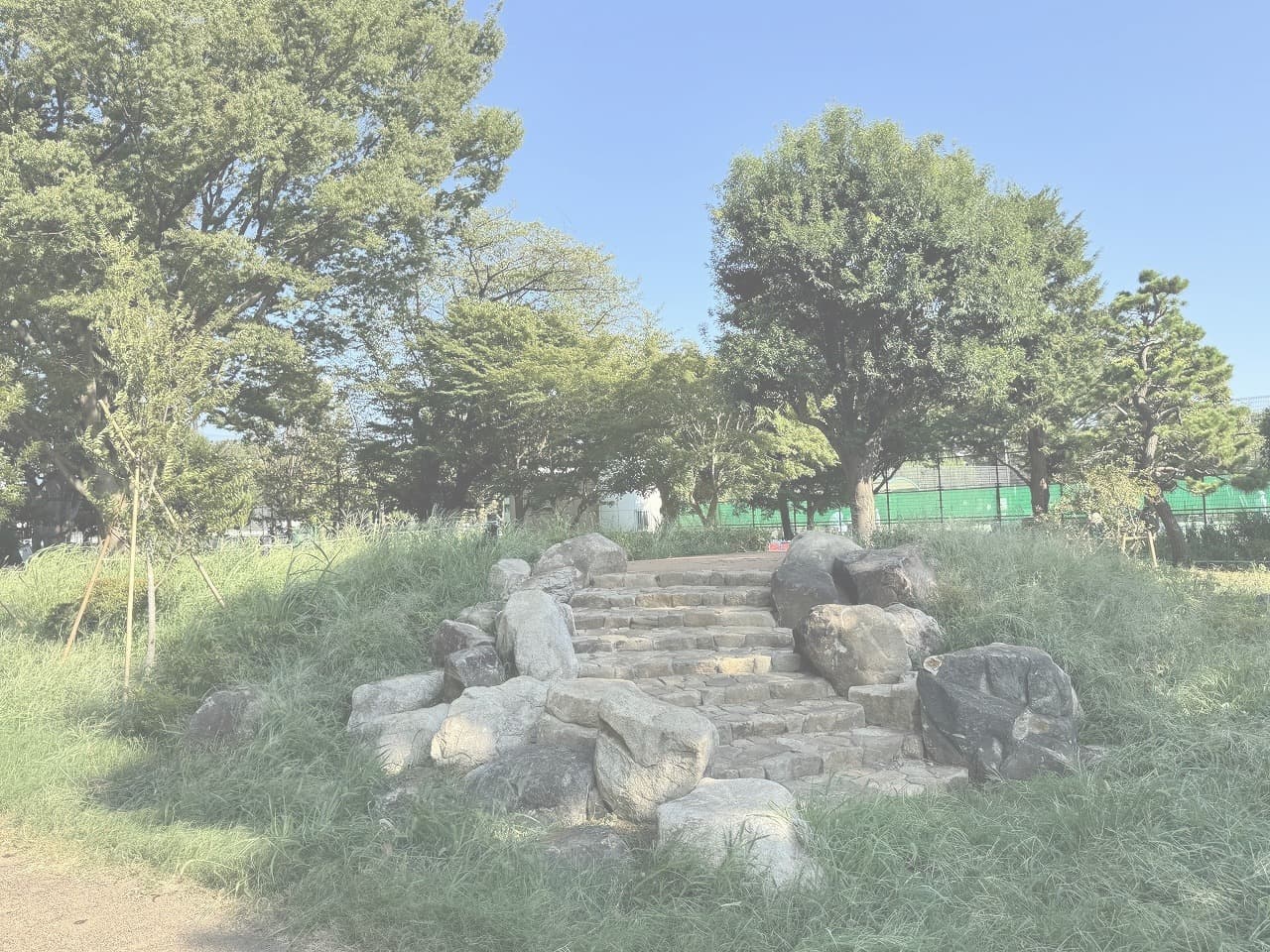 大蔵運動公園_湘南ロックガーデン